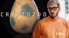 CryptoZoo - იუთუბერი ლოგან პოლის თაღლითობა თუ წარუმატებელი პროექტი