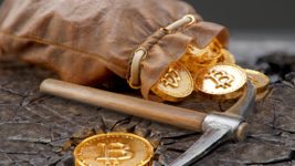 ოქროს მომპოვებელი კომპანია Nilam Resources 24 800 Bitcoin-ის შეძენას გეგმავს 
